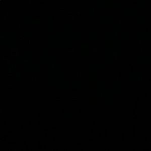 Meet your Posher, Isaiah